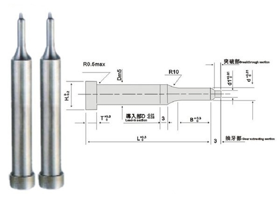Chân phun khuôn nhựa ASTM 1.2344 Bộ phận khuôn chính xác được đánh bóng bằng gương Lớp phủ TiN