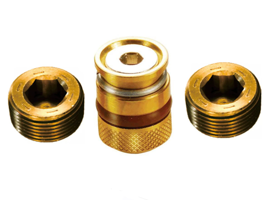 Bộ phận khuôn chính xác L50 L100 Phích cắm thẳng bằng đồng thau cho khuôn ép nhựa